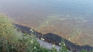 Анапа сегодня💕 Море 💕 21.07.2026