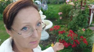 Видео привет с 6 соток 19 июля 2026 года.