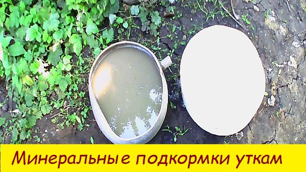 Минеральная подкормка уткам смотреть онлайн