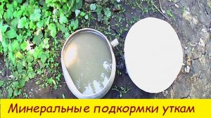 Минеральная подкормка уткам