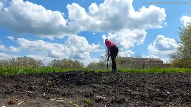 Воронежская обл,.Весенние хлопоты в огороде. Прогулка с другом. Апрель 2026г. смотреть онлайн