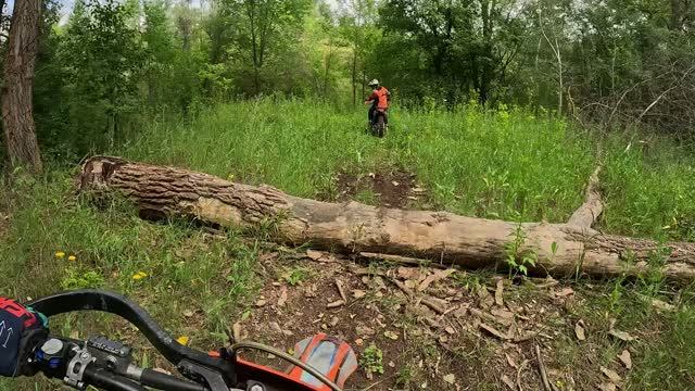 Алексеевские пески