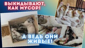 Родила, значит вон из дома, на помойку