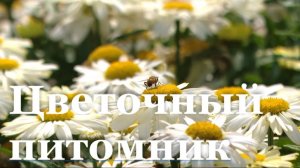 В Луганске стартовала заготовка декоративных растений к весне