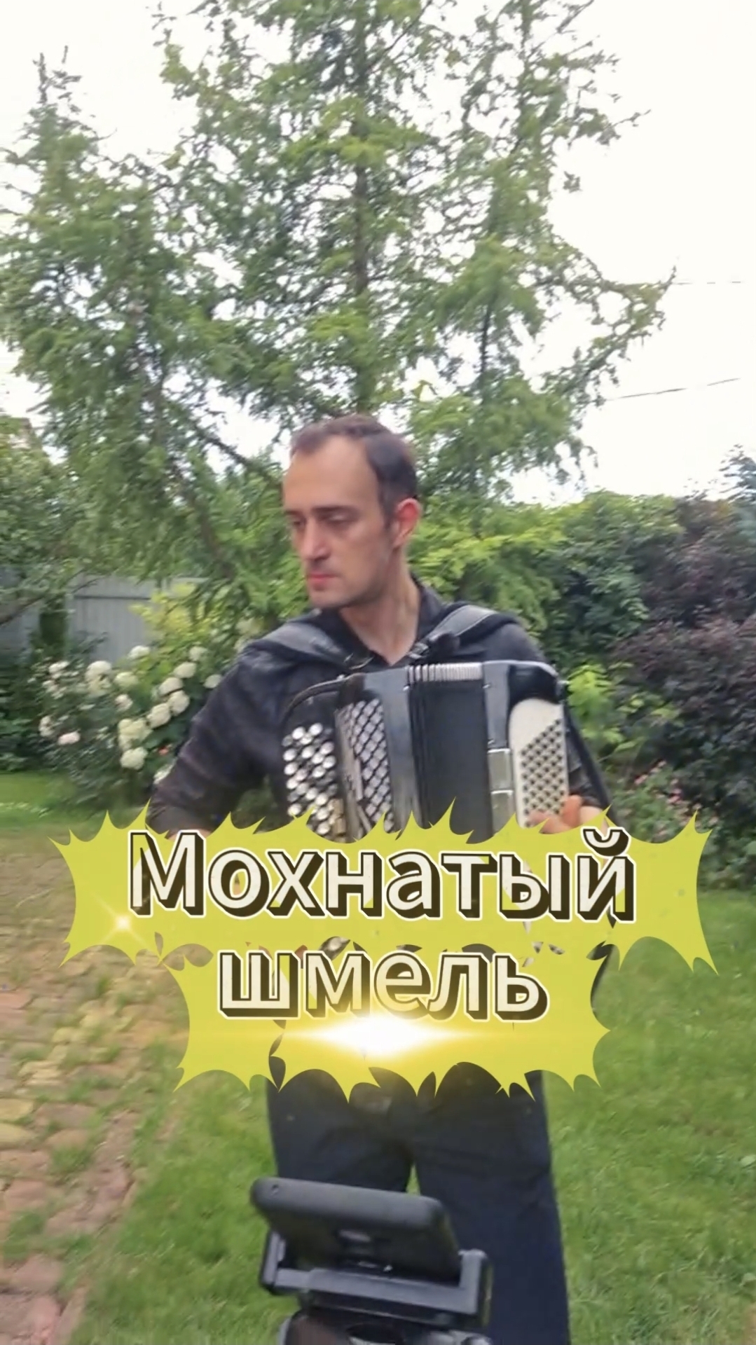 Мохнатый шмель