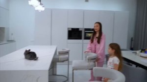 24 Часа с Шиншилай Черри ( Вики шоу)
