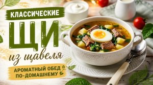 Классические щи из щавеля — ароматный обед по-домашнему: готовим просто и вкусно