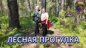 Собаку унесло течением