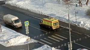 Подборка со скорыми