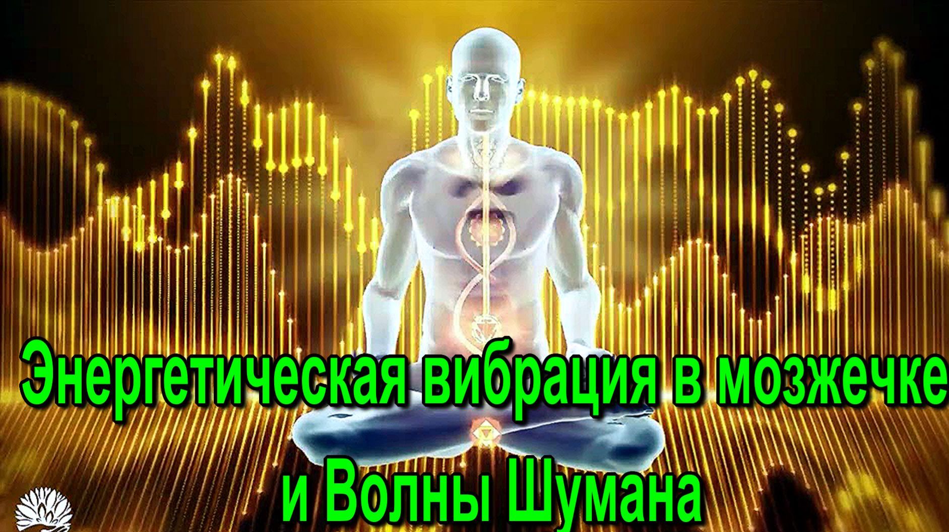 Подсознание и Астрал. Энергетическая вибрация в мозжечке и Волны Шумана - онлайн семинар
