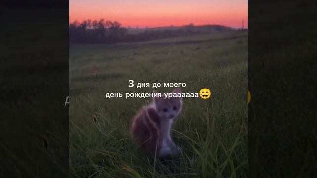 УРААААААА