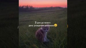 УРААААААА