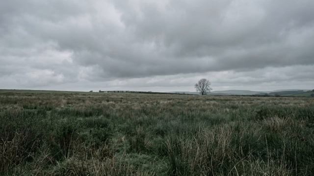 Спокойное пространство II Тихий эмбиент-фон II A Calm Space