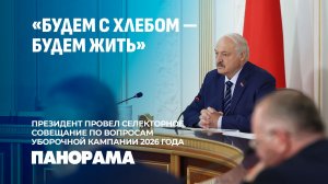 Лукашенко: Управлять уборочной надо в поле, а не из окна кабинета. Панорама