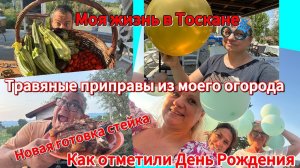 [жизнь обычной семьи в Тоскане]📹 #жизньвтоскане#деньРождениявИталии#миниотпуск#специи из моих трав
