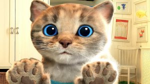 Милый котенок, маленькая кошеч