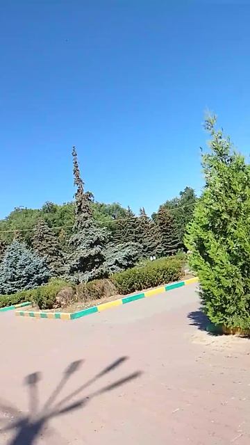 739.mp4 смотреть онлайн