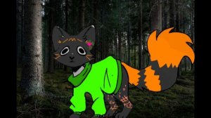 Красноглазый только мой а ты Радужноглазка никто!
