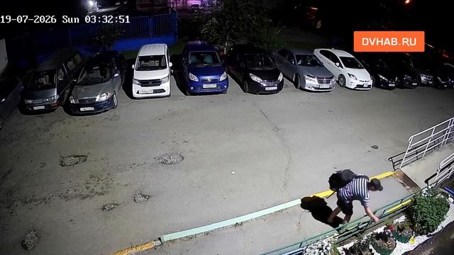 Хабаровчанин украл цветы с клумбы ради «изюминки» букета смотреть онлайн