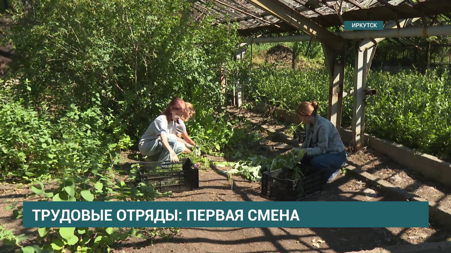 75 подростков примут участие в работе трудовых отрядов, организованных на базе городских предприятий