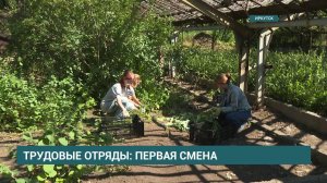 75 подростков примут участие в работе трудовых отрядов, организованных на базе городских предприятий