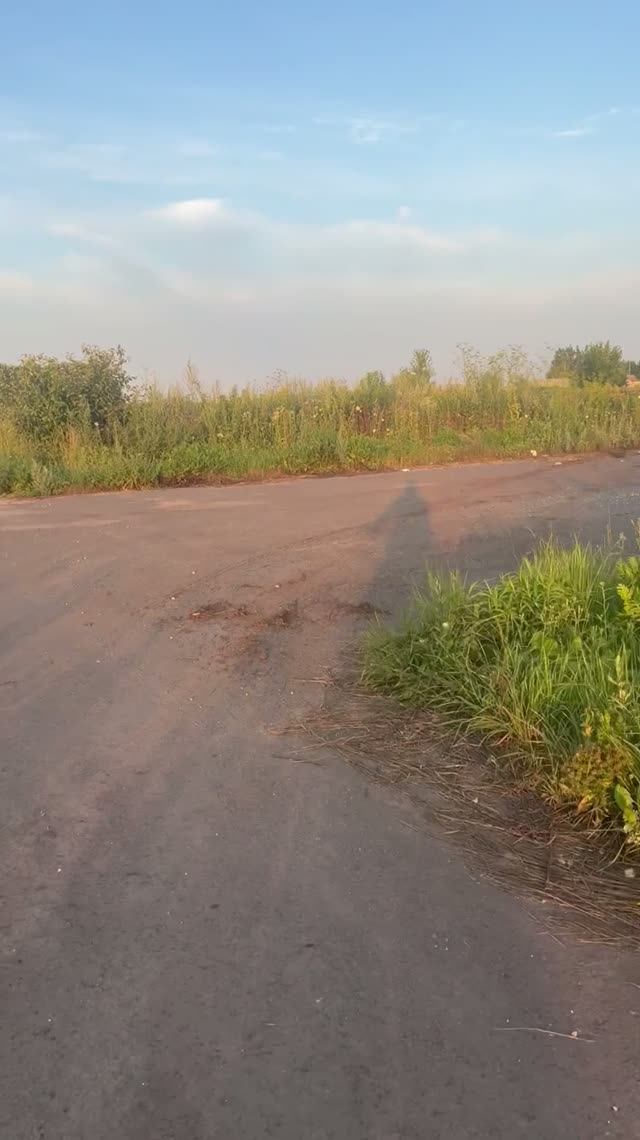Летний 🌅 смотреть онлайн