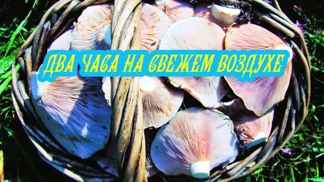 ДВА ЧАСА НА СВЕЖЕМ ВОЗДУХЕ смотреть онлайн