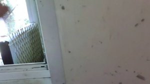 Дачный сезон #250 воскресенье выходной)