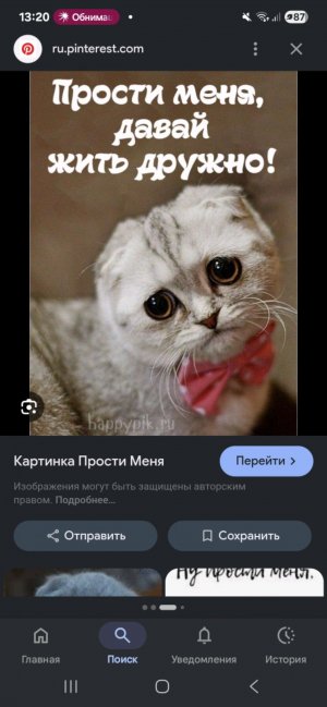 для миши