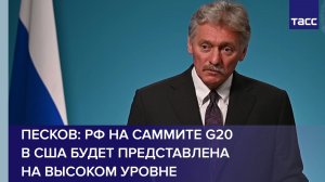 Песков: РФ на саммите G20 в США будет представлена на высоком уровне
