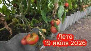 Лето в деревне, урожай, свадьба на селе, погода как настроение..