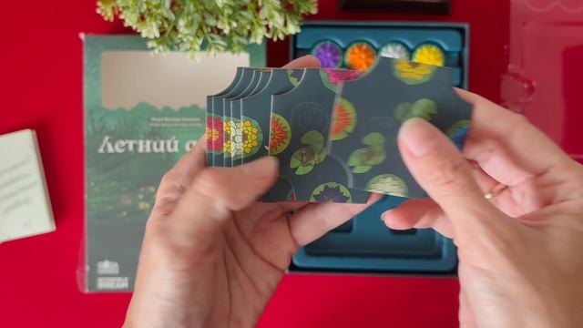 Распаковка настольная игра «Летний дождь»