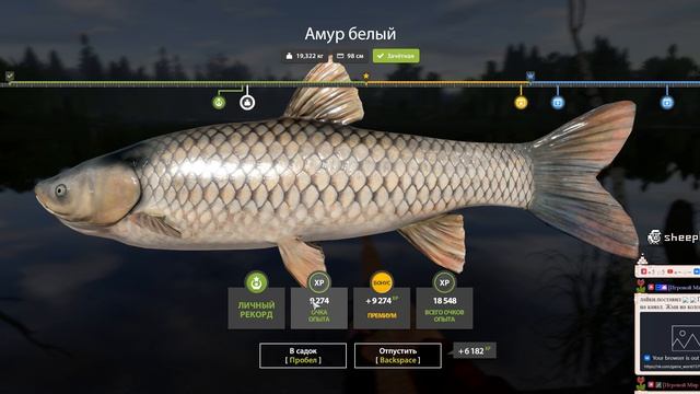 Russian Fishing 4 2026.07.22 - 04.55.24.01