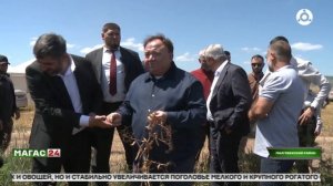 Глава Ингушетии проинспектировал старт уборочной страды в Малгобекском районе