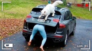 САМЫЕ НЕЛЕПЫЕ МОМЕНТЫ, СНЯТЫЕ НА КАМЕРУ НАБЛЮДЕНИЯ