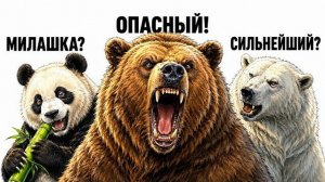 8 ВИДОВ МЕДВЕДЕЙ кто самый сильный и опасный