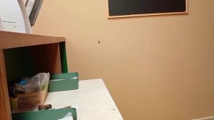 Маргиналы и быдло  О. В., Антикрах -полупокер