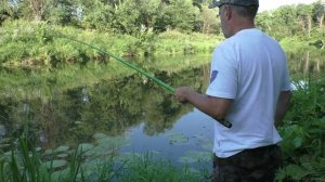Рыбалка на речке на поплавок в июле