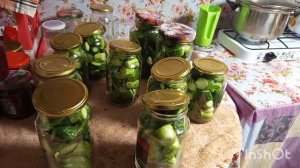 22-07-2026 года.Жизнь в деревне.Как прошел мой день.