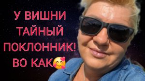 У ВИШНИ ПОЯВИЛСЯ ТАЙНЫЙ ПОКЛОННИК.