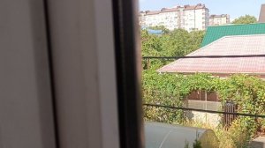 Анапа 2026, день первый 21.07.26.