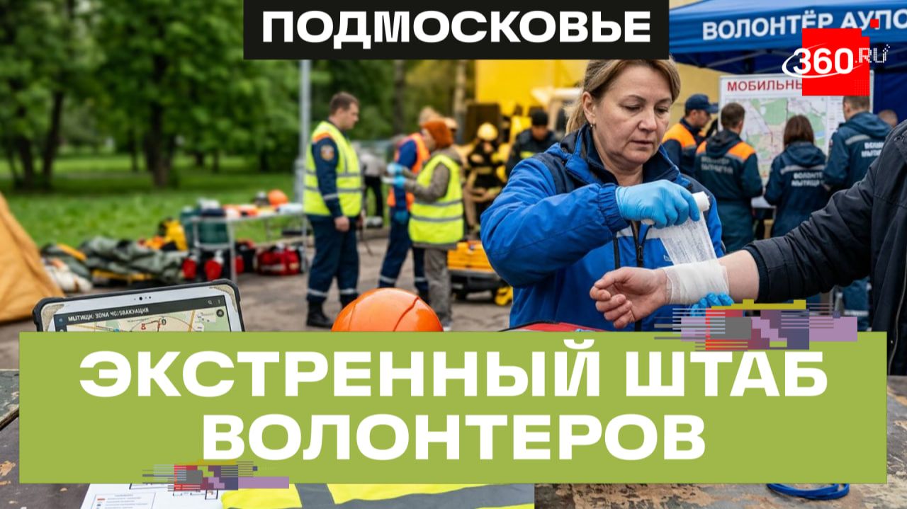 Волонтеров обучили оказывать помощь при ЧП в Мытищах смотреть онлайн