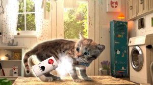 Анимированные приключения маленького котенка для дошкольников - веселые игры с милым котен