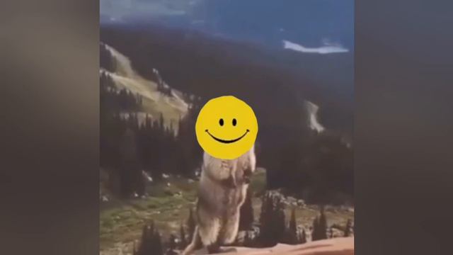 Что То Бежит За Мной...