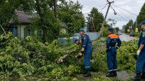 Алтай попал под удар шторма. Тысячи домов остались без электричества, деревья падали на крыши зданий