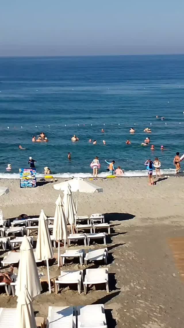 Короткие видео