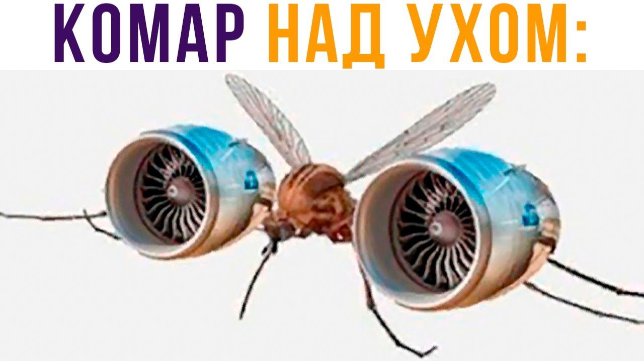 Я пытаюсь уснуть. Комар над ухом))) Приколы смотреть онлайн