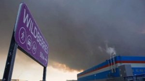 Порядка 88 тысяч продавцов Wildberries, пострадавших от атак ВСУ, получат первые начисления сегодня,