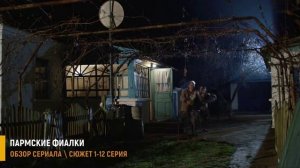 Пармские фиалки 1-12 серия: Тайна черных вдов - разбор сериала