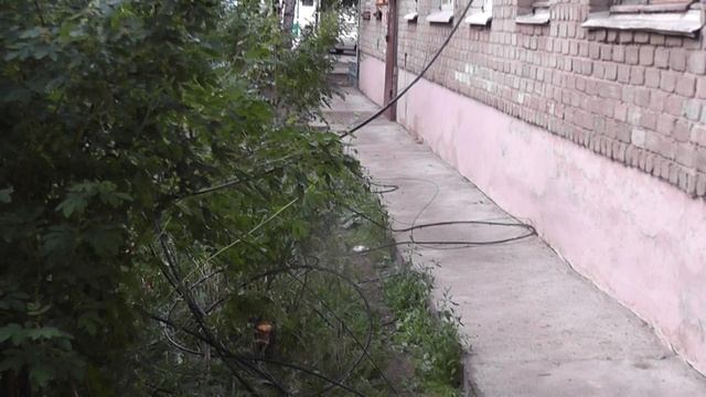 УРАГАН 26.06.2013.